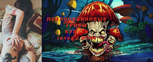 амф Протвино