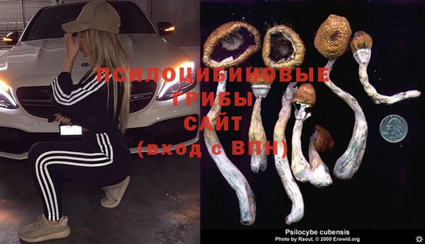 кристаллы Алексеевка