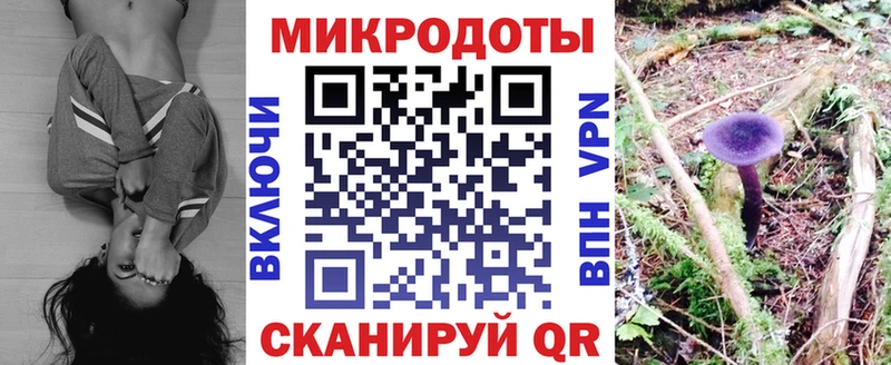 купить   Тара  Галлюциногенные грибы мицелий 