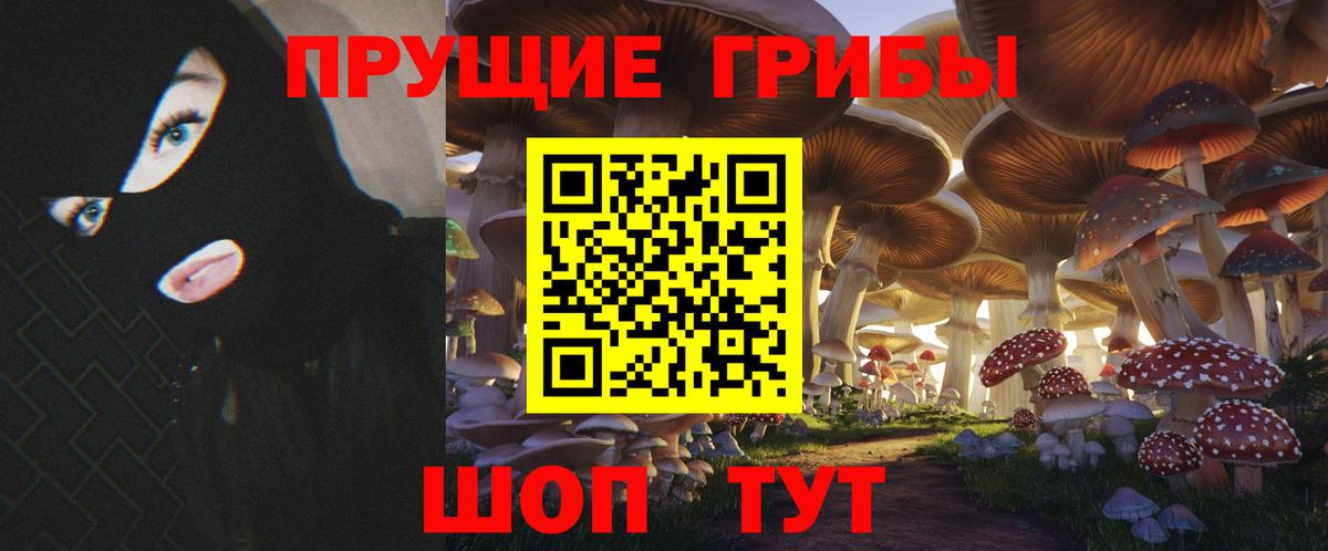 Галлюциногенные грибы GOLDEN TEACHER Тара