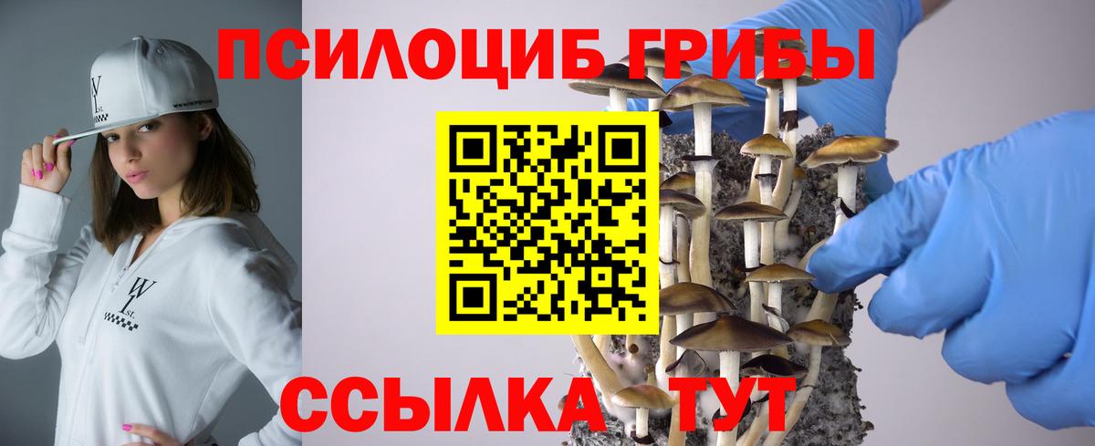 Галлюциногенные грибы Psilocybine cubensis  Псилоцибиновые грибы Magic Shrooms  Вход с VPN  Тара 
